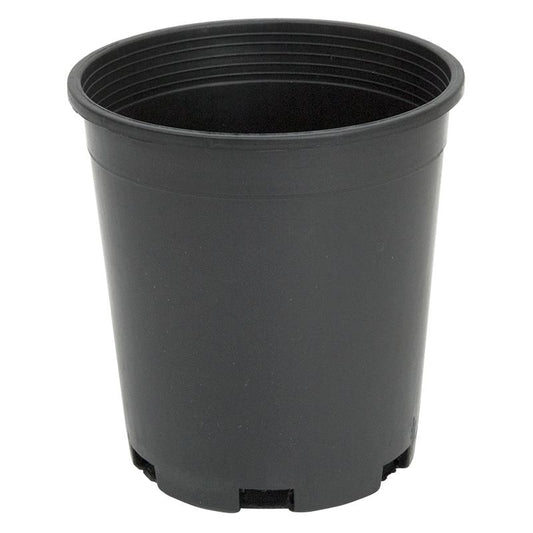 1 Gallon Pot (Black Plastic)