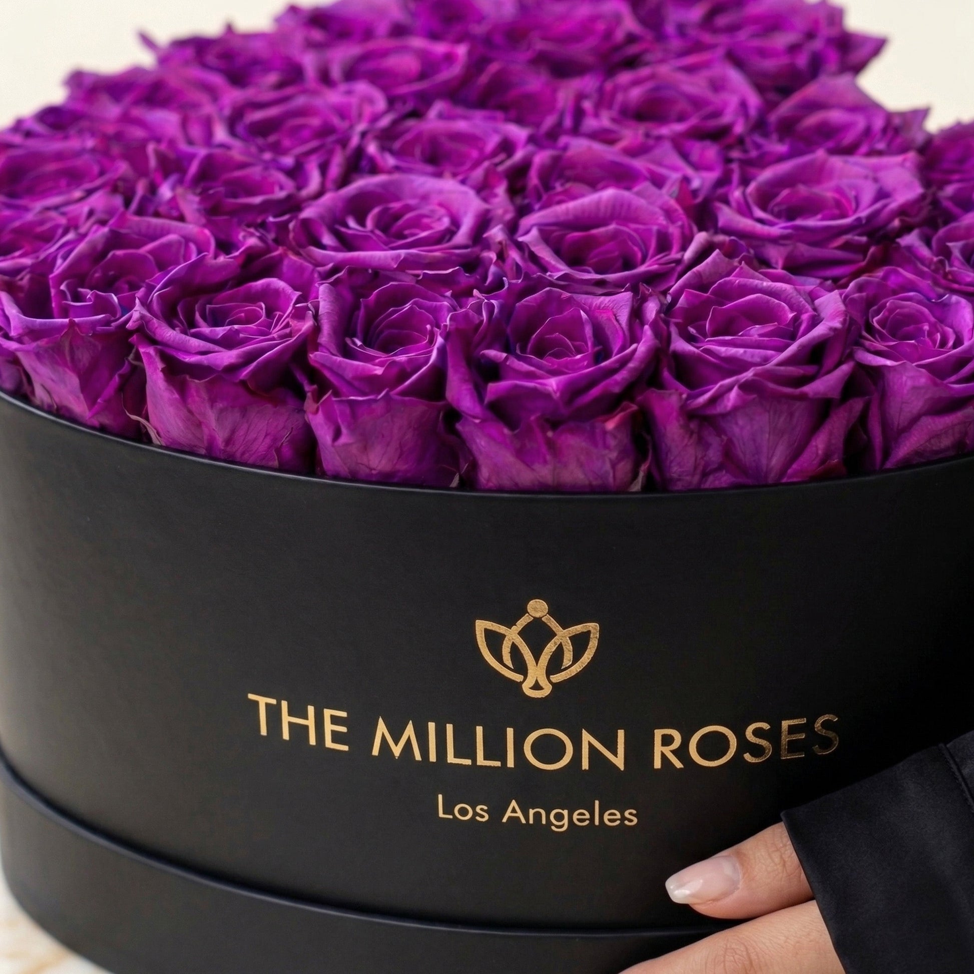 Heart Black Box with Bright Purple Roses by The Million Roses on Tampa Home & Garden Store