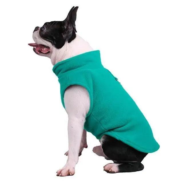 Stevvex soft fleece dog vest for small dogs teal candy color with high collar on Tampa Home & Garden Store