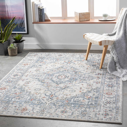 Area rug Billings by Boutique Rugs - clearance, blue-gray distressed pattern on Tampa Home & Garden Store