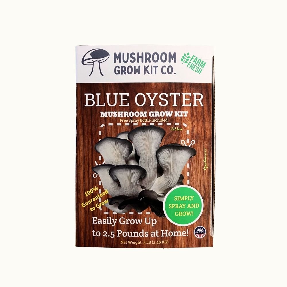 Premium Blue Oyster Mushroom Growing Kit - 5 LBS