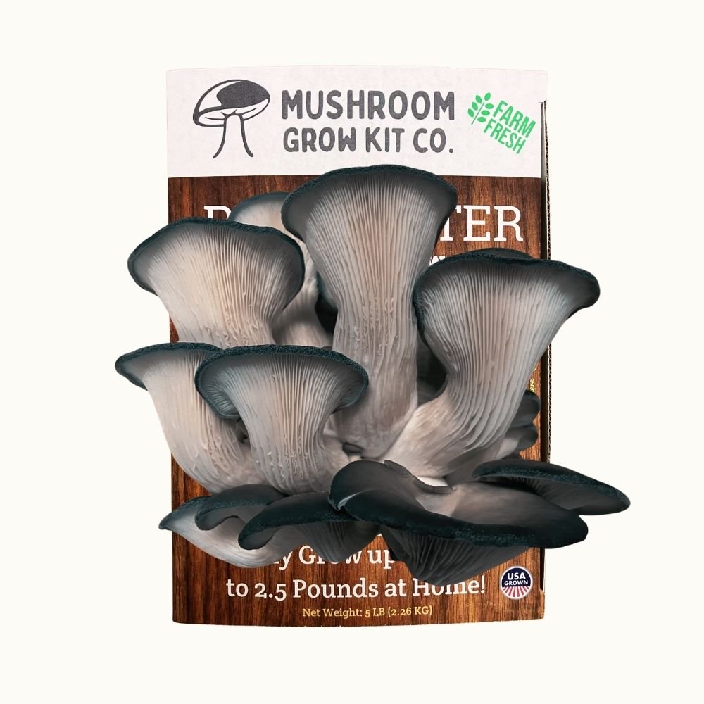 3 Pack - Premium Lion's Mane, Pink, and Blue Oyster Mushroom Growing Kit - 15 LBS
