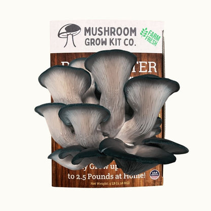 3 Pack - Premium Lion's Mane, Pink, and Blue Oyster Mushroom Growing Kit - 15 LBS