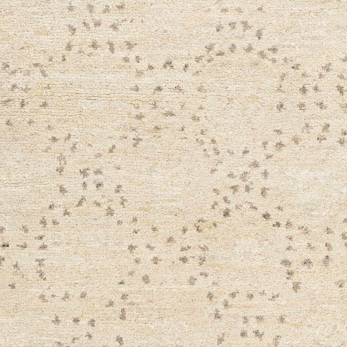 Banksia Area Rug beige with subtle brown speckles in textured pile on Tampa Home & Garden Store