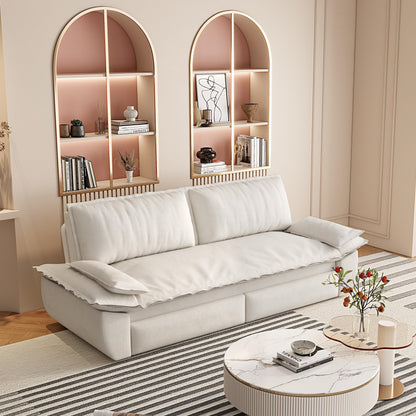 Convertible Velvet Sofa and Queen Pull Out Bed