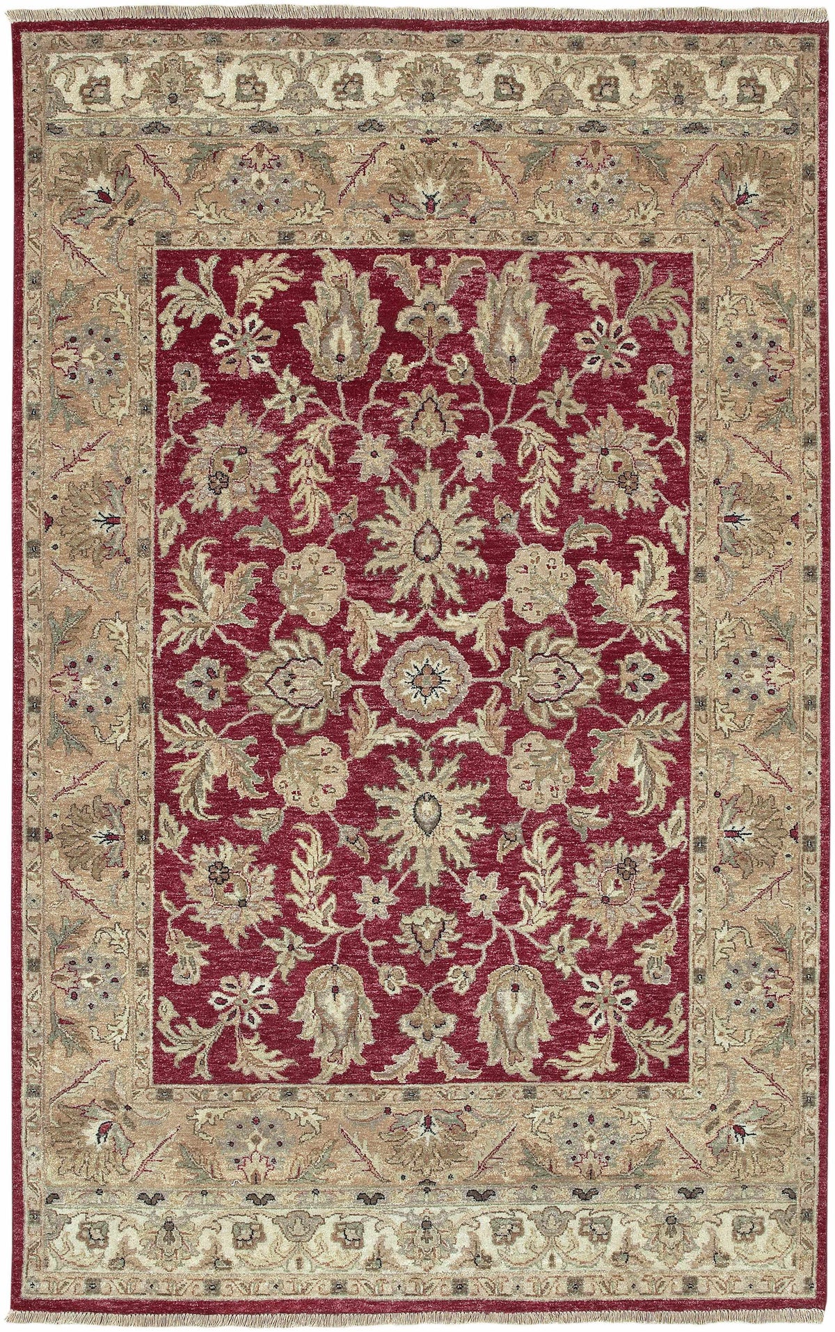 Red&Gold Premium Wool Area Rug with maroon field and beige border Boutique Rugs clearance on Tampa Home & Garden Store