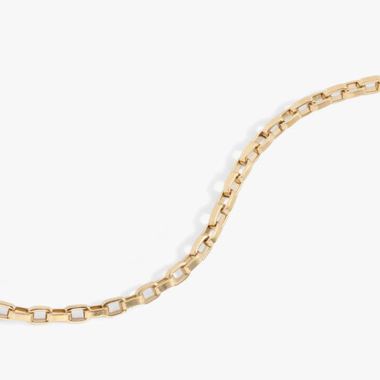 Everyday Box Link Chain Bracelet by ALEX AND ANI, gold-tone box-link chain on Tampa Home & Garden Store
