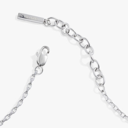 Everyday Box Link Chain Bracelet by ALEX AND ANI, silver-tone metal chain on Tampa Home & Garden Store