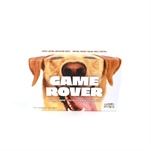 Game Rover - A Game You Play With Your Dog - Tampa Home & Garden Store