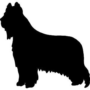 Briard garden stake silhouette, solid black, Rustica Ornamentals for Home & Garden on Tampa Home & Garden Store
