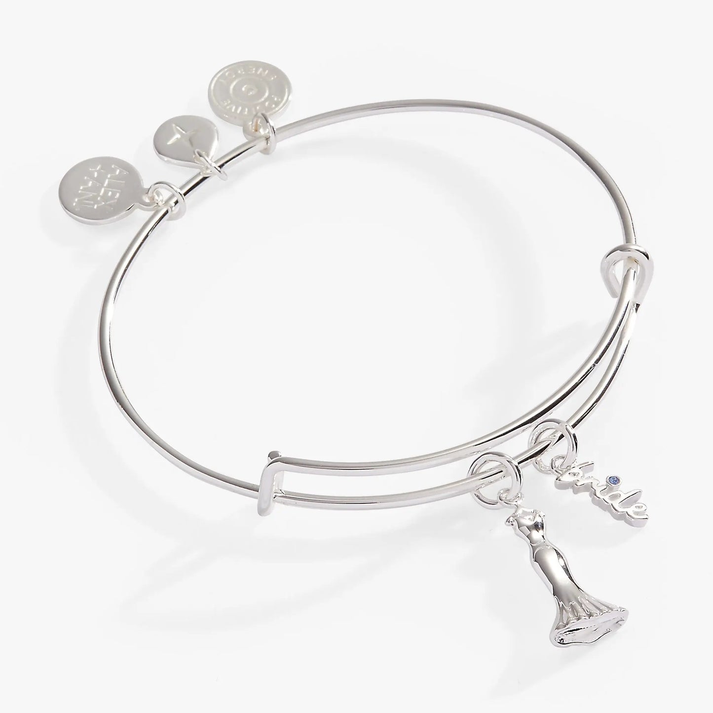 Bridal Gown Duo Charm Bangle, silver-tone with Alex and Ani discs and a gown charm on Tampa Home & Garden Store