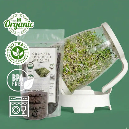 Kit de démarrage pour brocolis Sprout Spout : Sprout Spout + 113 g ou 454 g de graines + une cuillère à germer offerte
