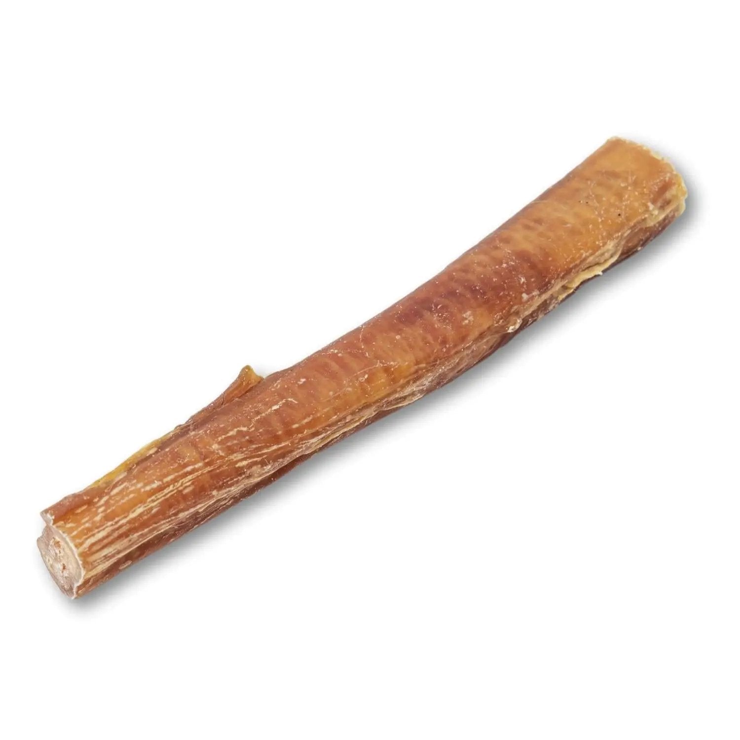 All-Natural Beef Bully Stick Dog Treat 6-inch thick, brown by American Pet Supplies on Tampa Home & Garden Store