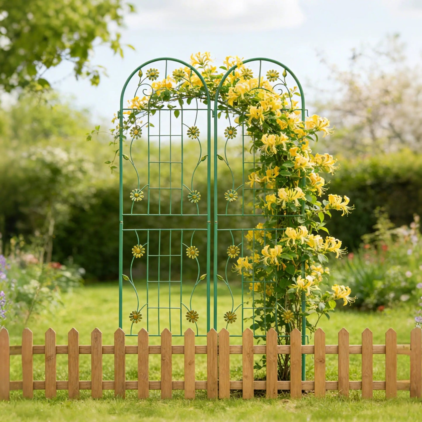 Metal Garden Trellis for Climbing Plants Outdoor