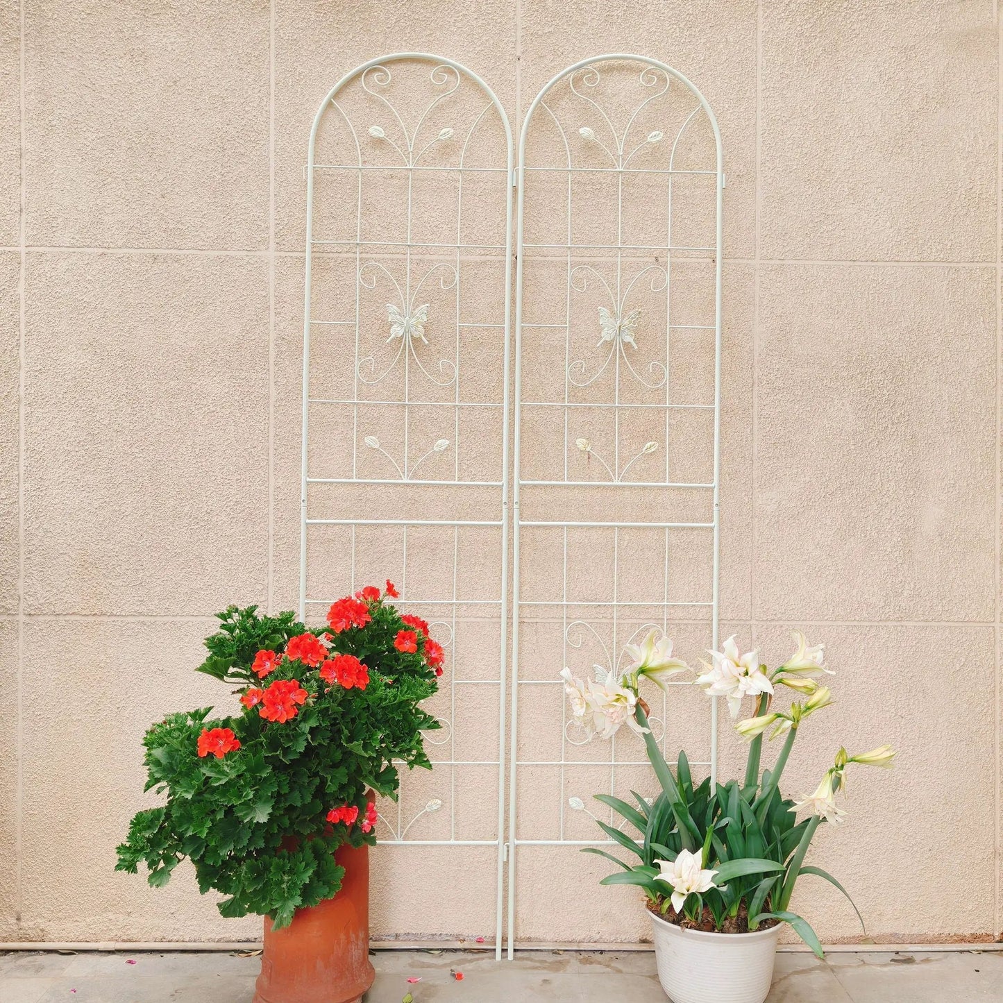 Garden Metal Trellis for Climbing Plants