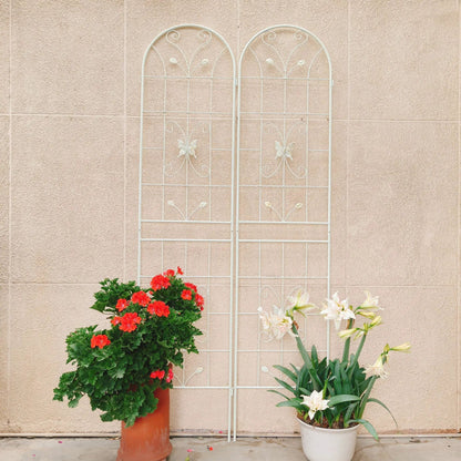 Garden Metal Trellis for Climbing Plants