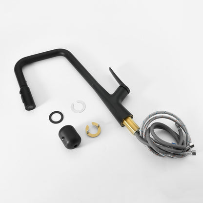 Professional matte-black kitchen faucet with 3-function 360 sprayer and 1-touch switching on Tampa Home & Garden Store