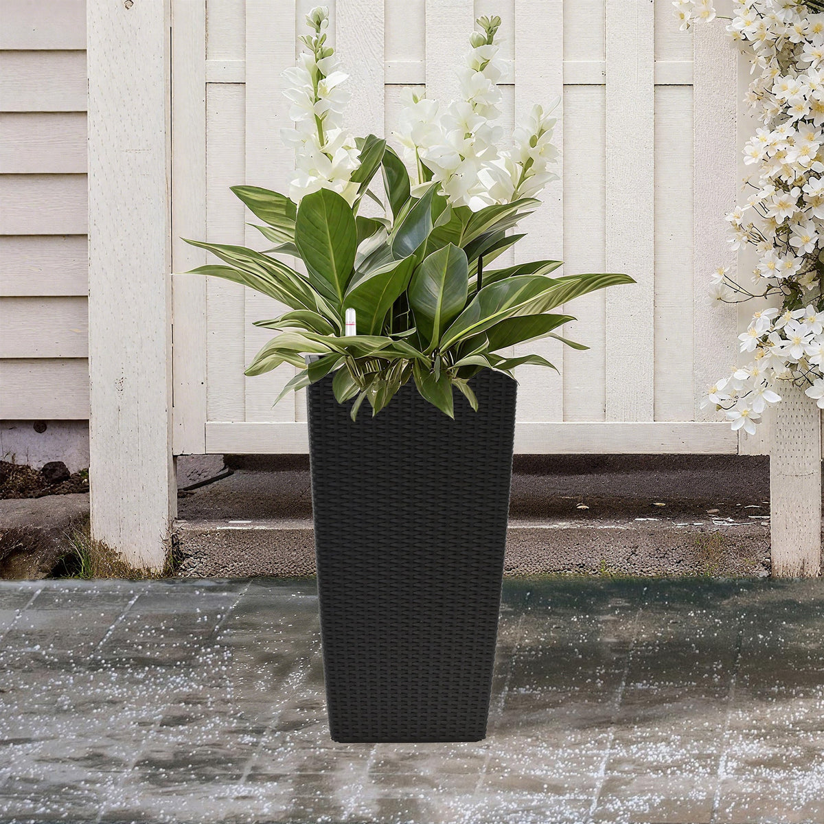 Pack of 2 square black wicker planters with automatic watering system HouseOfZazla on Tampa Home & Garden Store