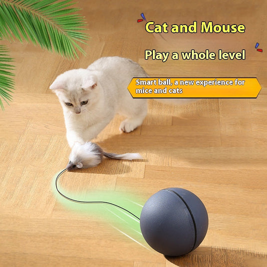 Cat teaser ball toy, electric rolling ball for pets with feather teaser, Balls & Chasers on Tampa Home & Garden Store