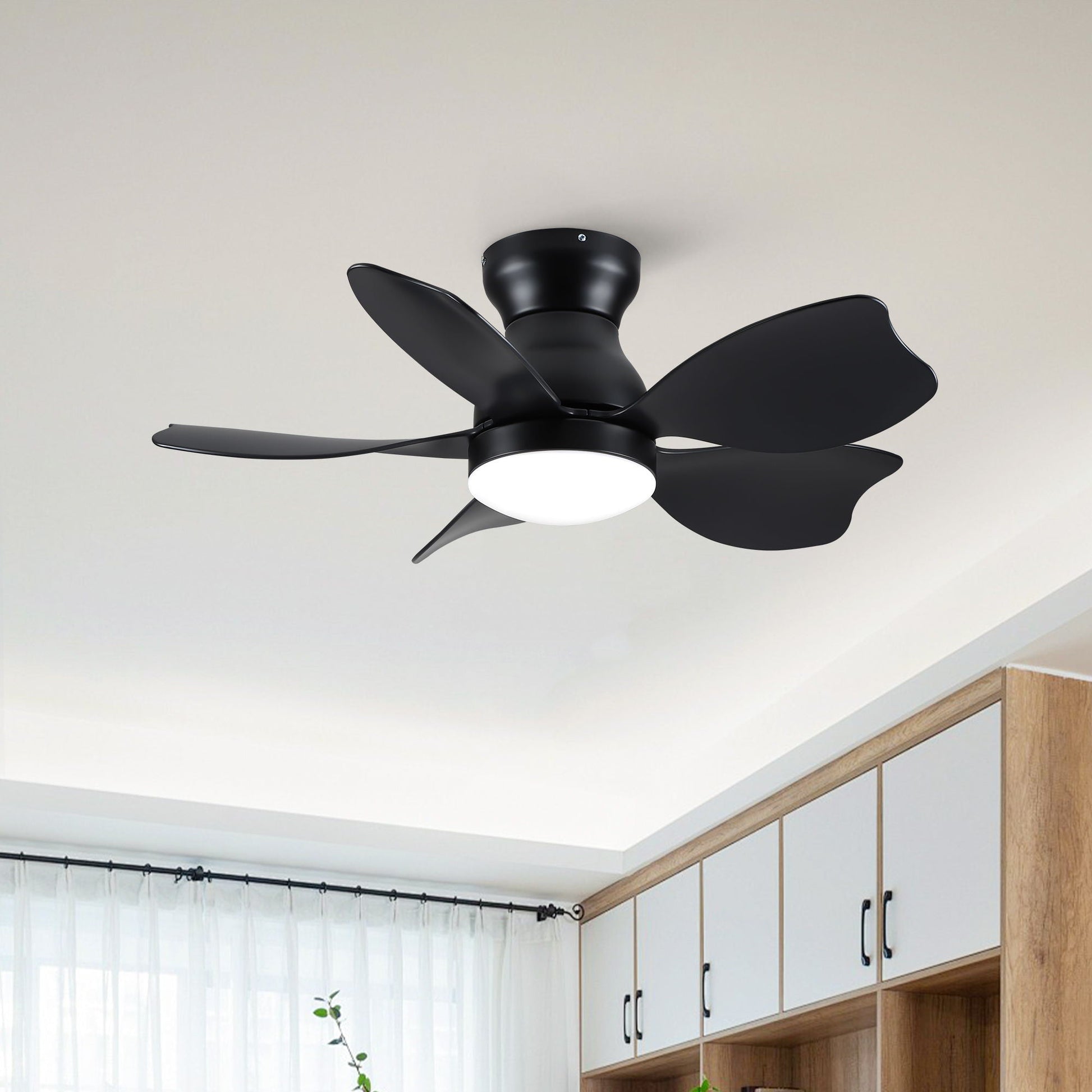 Low profile flush mount ceiling fan with light, black finish, five blades on Tampa Home & Garden Store