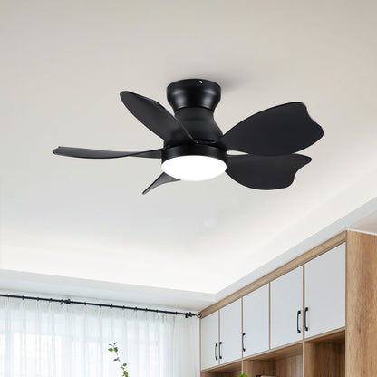 Low profile flush mount ceiling fan with light, black finish, five blades on Tampa Home & Garden Store