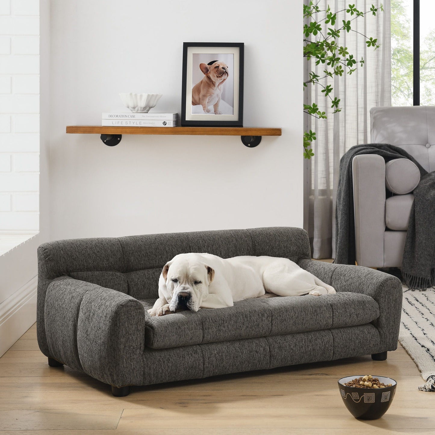 Modern pet sofa with backrest and armrests in charcoal gray fabric; 1 dog lounging on it on Tampa Home & Garden Store