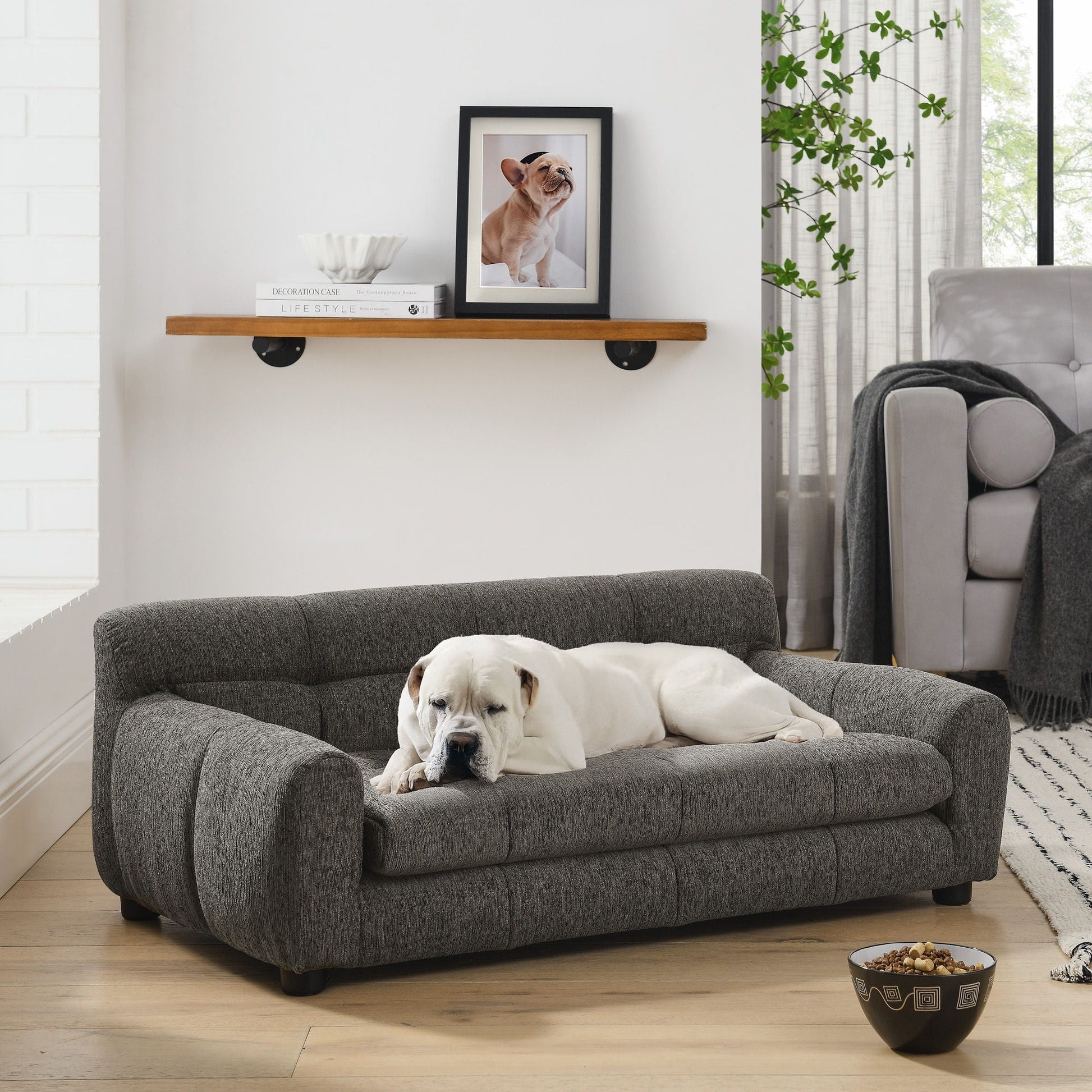 Modern pet sofa with backrest and armrests in charcoal gray fabric; 1 dog lounging on it on Tampa Home & Garden Store