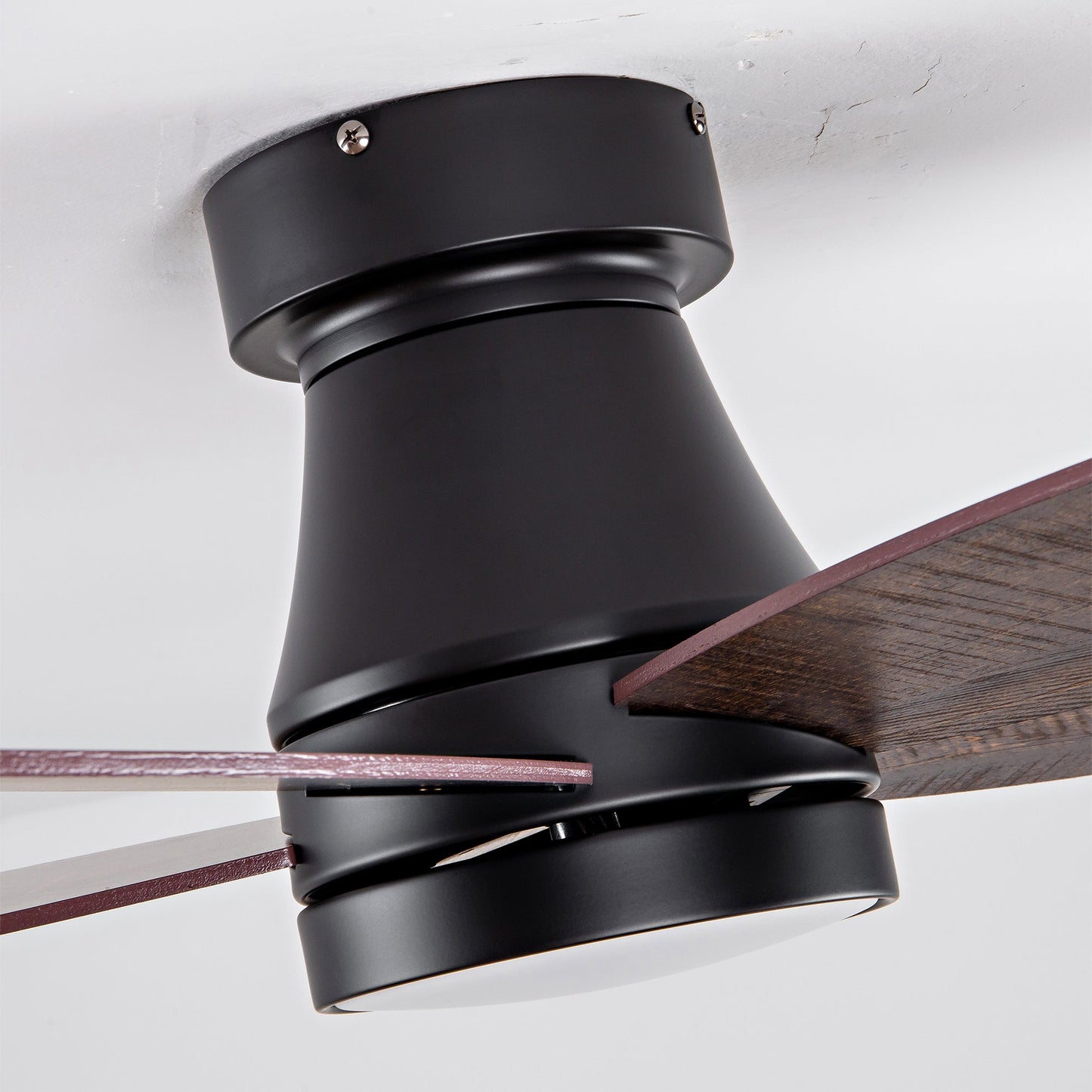 Ceiling fan HouseOfZazla 32in low-profile with light, remote, 3CCT, black on Tampa Home & Garden Store