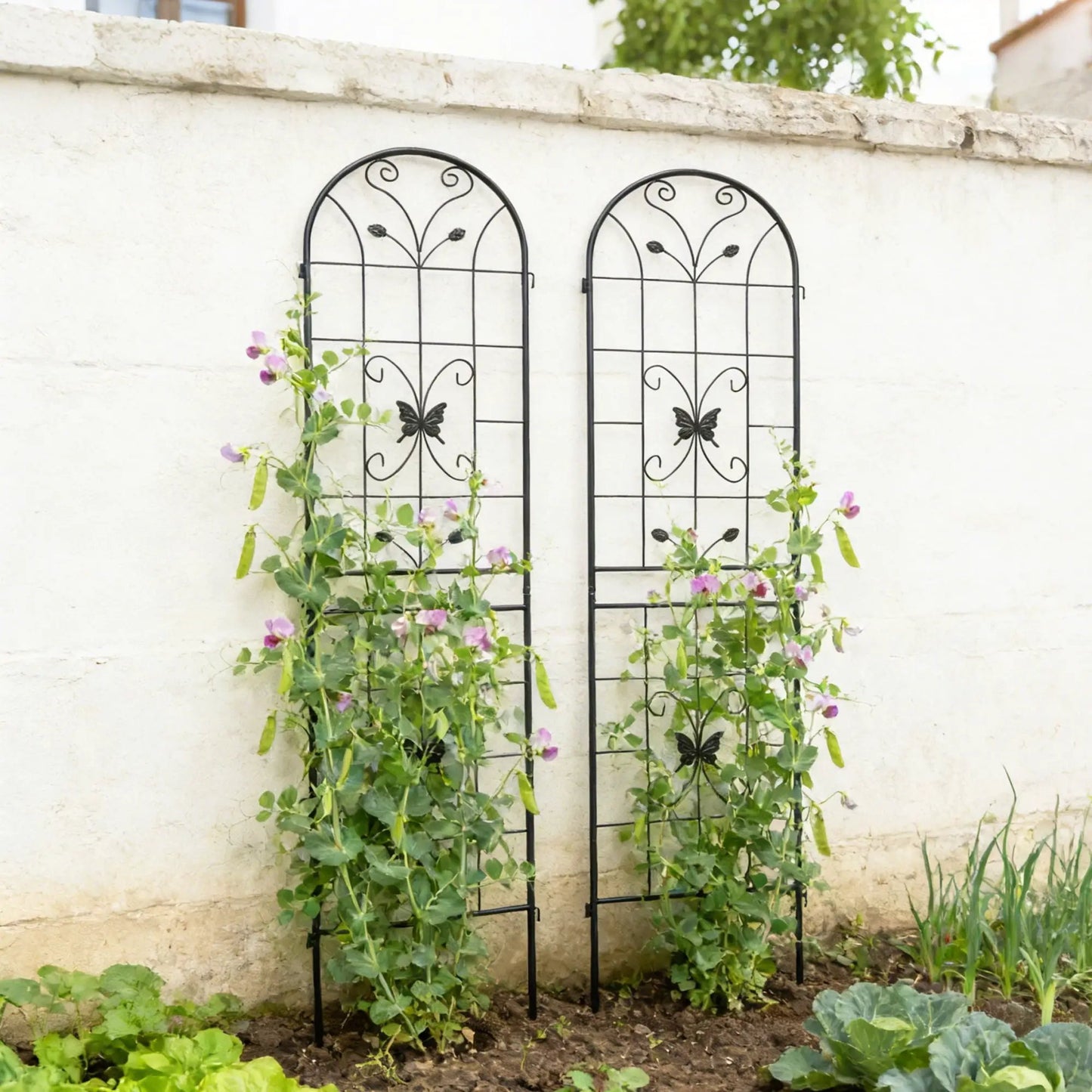 Garden Metal Trellis for Climbing Plants
