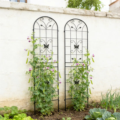 Garden Metal Trellis for Climbing Plants