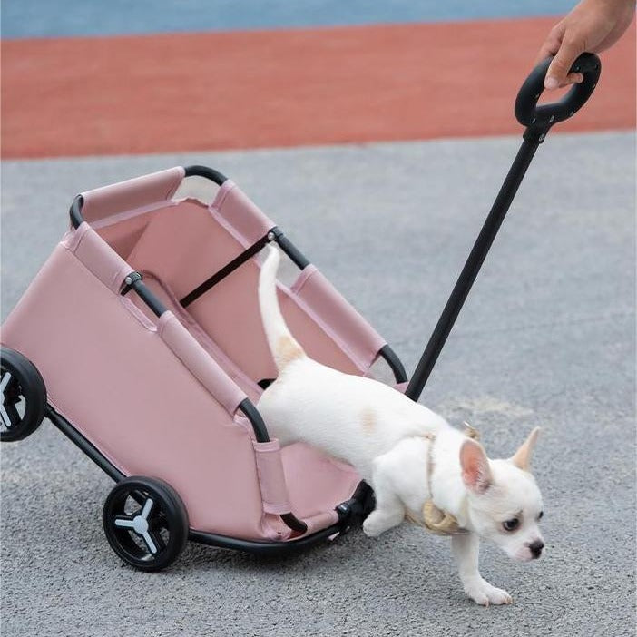 Pet Zen pink foldable pet stroller cart for small dogs and cats with handle and wheels on Tampa Home & Garden Store