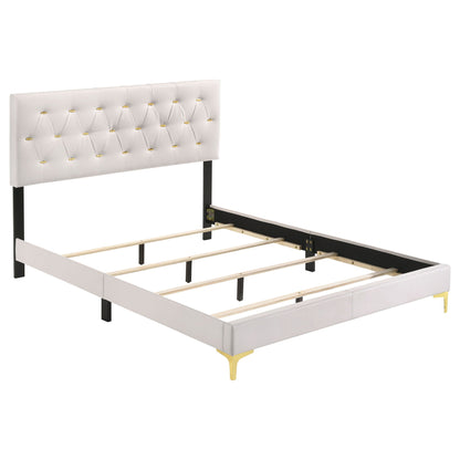 James Panel Bed white tufted upholstery with gold nailhead accents and black metal legs on Tampa Home & Garden Store