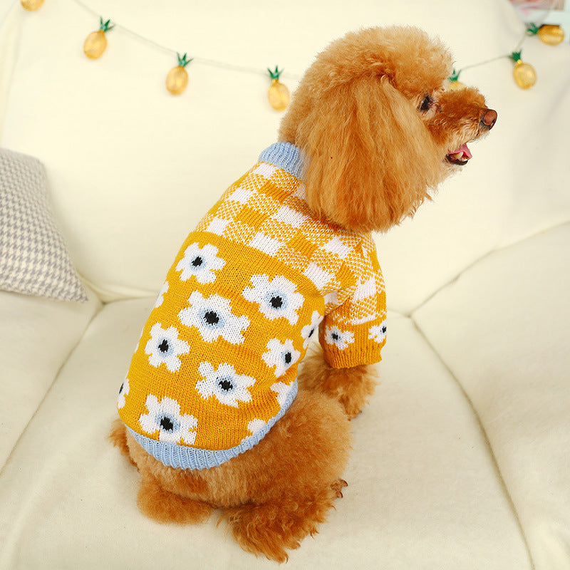 Bowknot dog sweater by Pet Zen in yellow knit with white flowers and blue trim on a poodle on Tampa Home & Garden Store