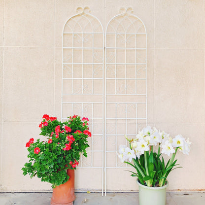 Metal Trellis For Climbing Plants And Vines