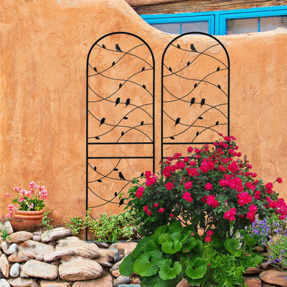 Two Rustproof Metal Garden Trellis and Supports