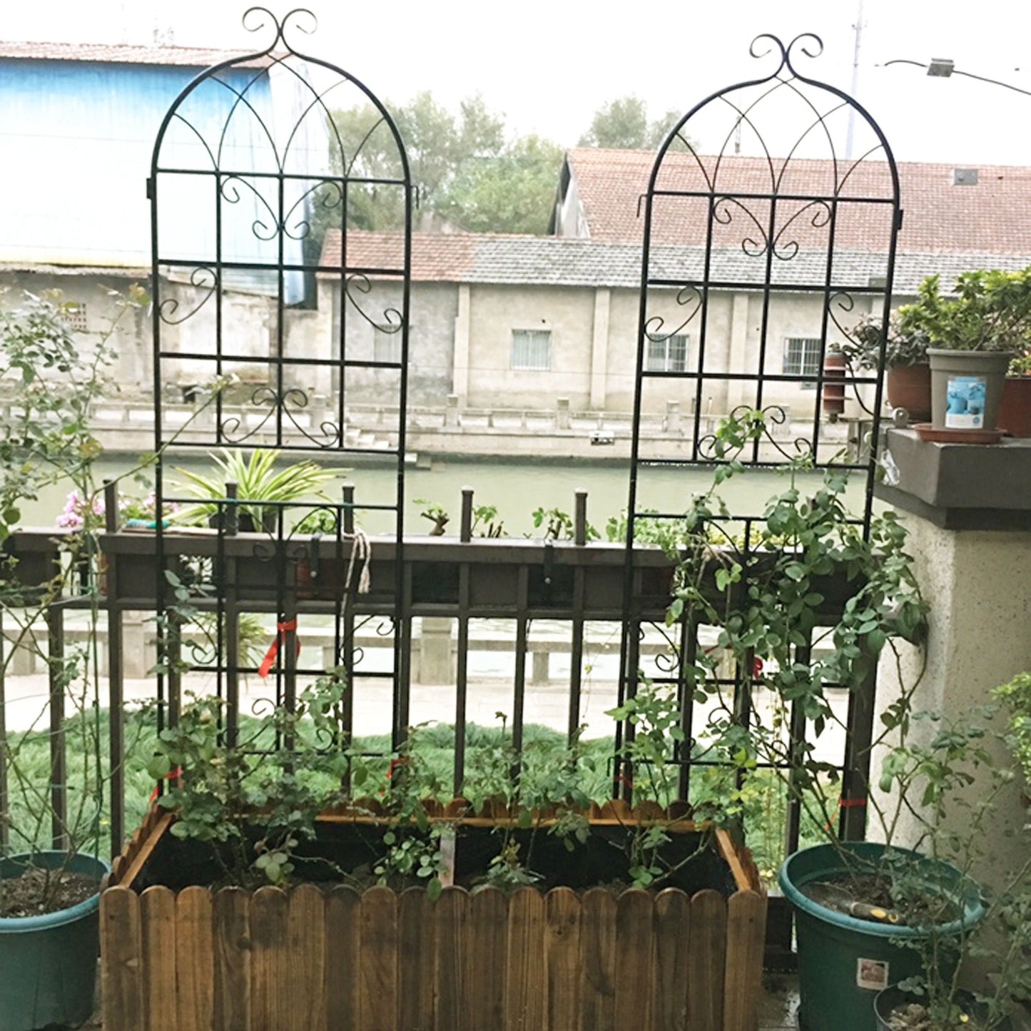 Metal Trellis For Climbing Plants And Vines