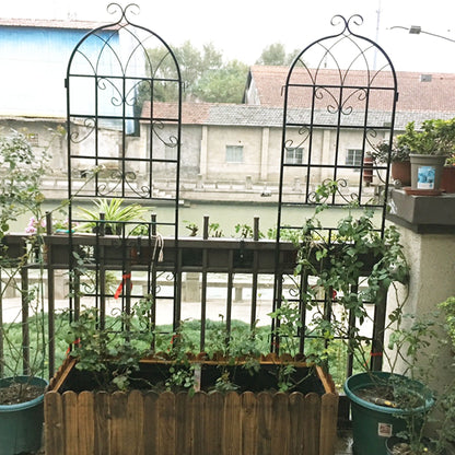 Metal Trellis For Climbing Plants And Vines