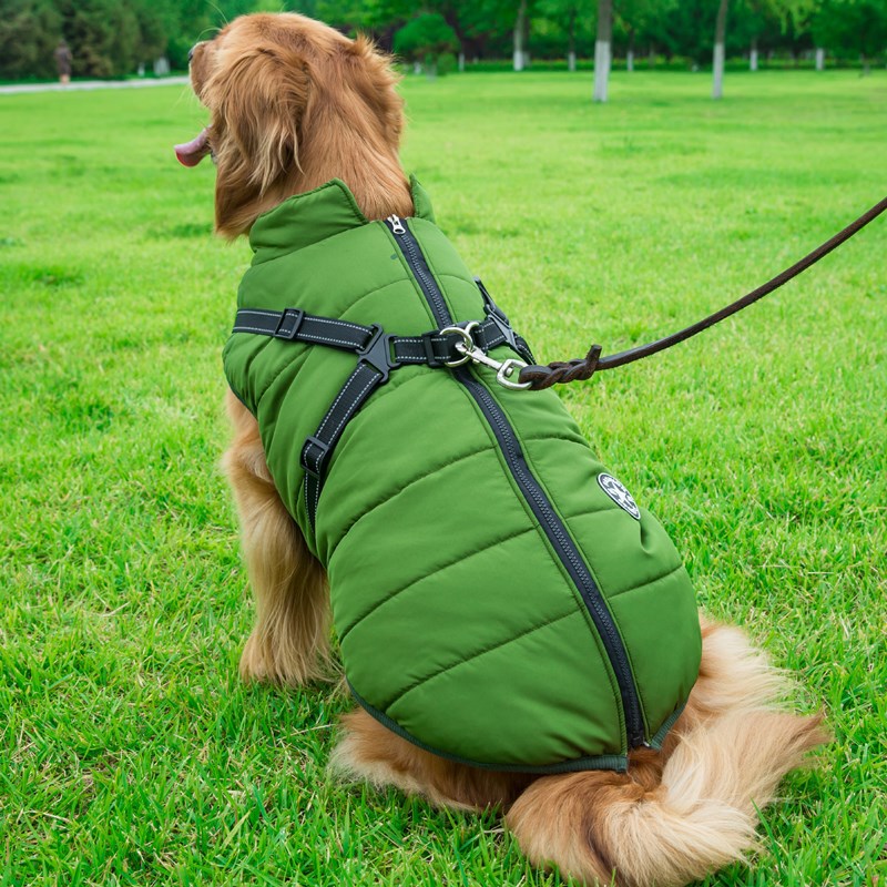 Pet Zen green padded hooded winter dog coat for small dogs with harness straps on Tampa Home & Garden Store