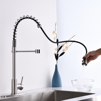 Modern Single Handle Faucet With Filter And Spray