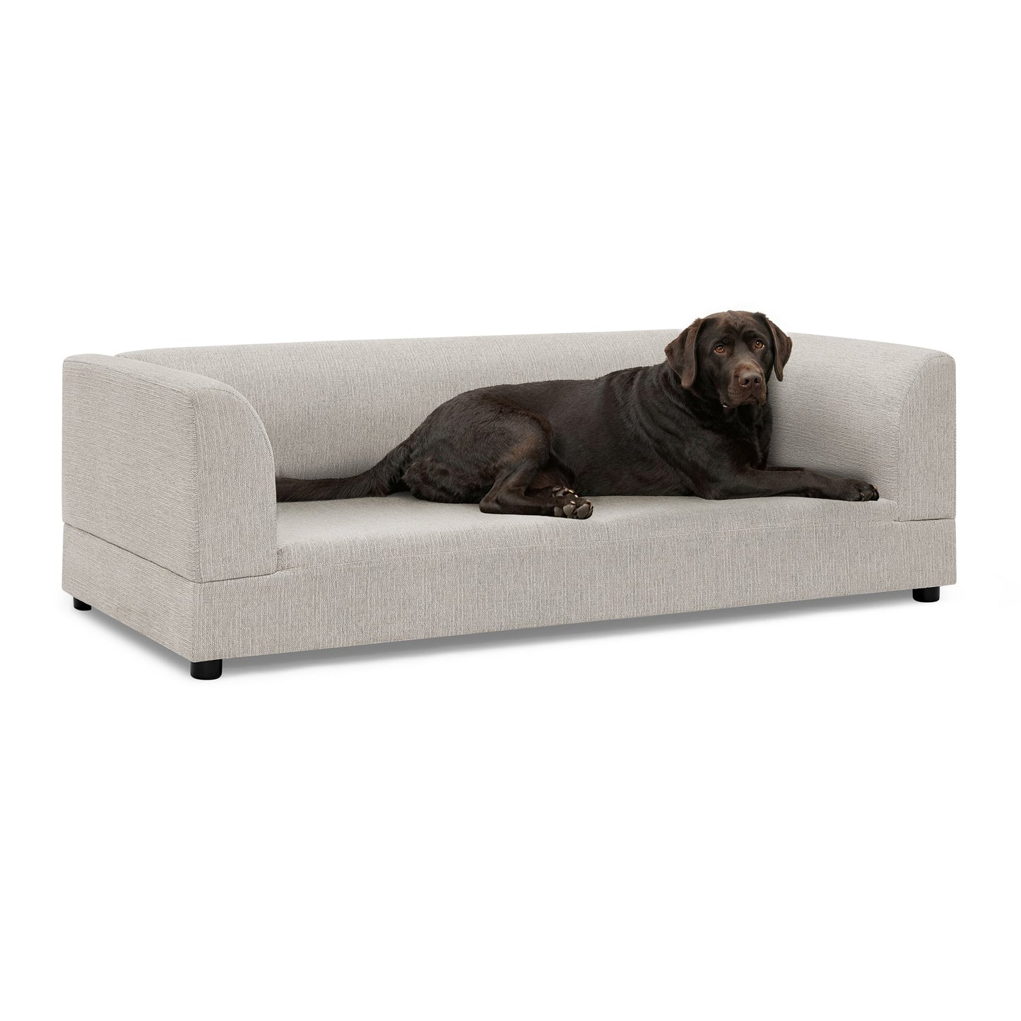 Comfortable oversized pet sofa in beige fabric for medium and large dogs on Tampa Home & Garden Store