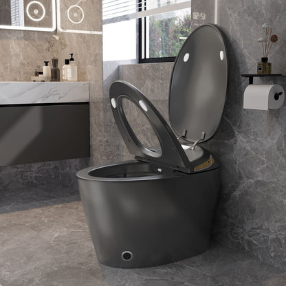 Smart Toilet with Ceramic Bidet, Matte Black finish by HouseOfZazla on Tampa Home & Garden Store