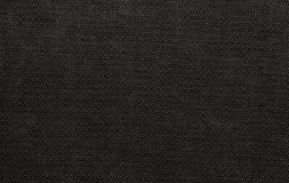 Jaramillo chair set of 2 upholstery close-up in dark charcoal fabric on Tampa Home & Garden Store