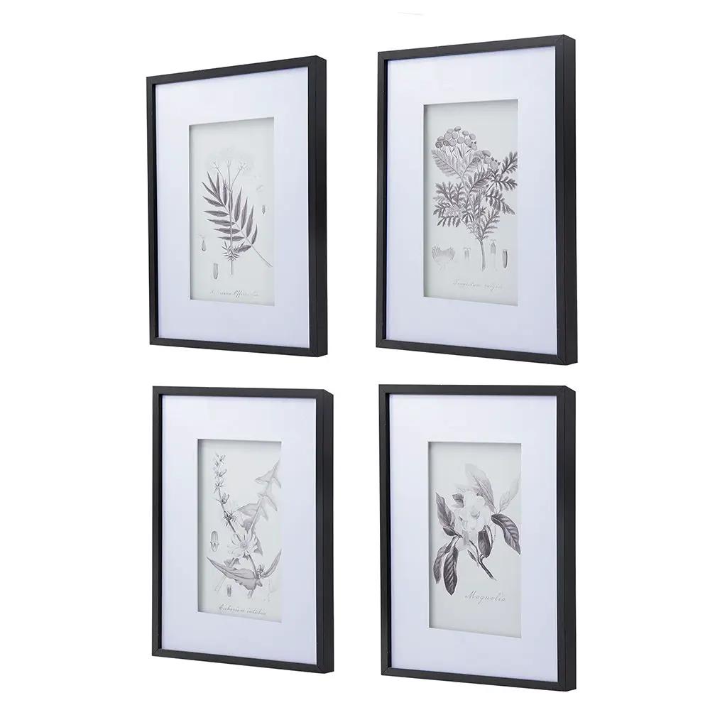 Framed botanical wall art prints set of 4 in black frames with white mats on Tampa Home & Garden Store