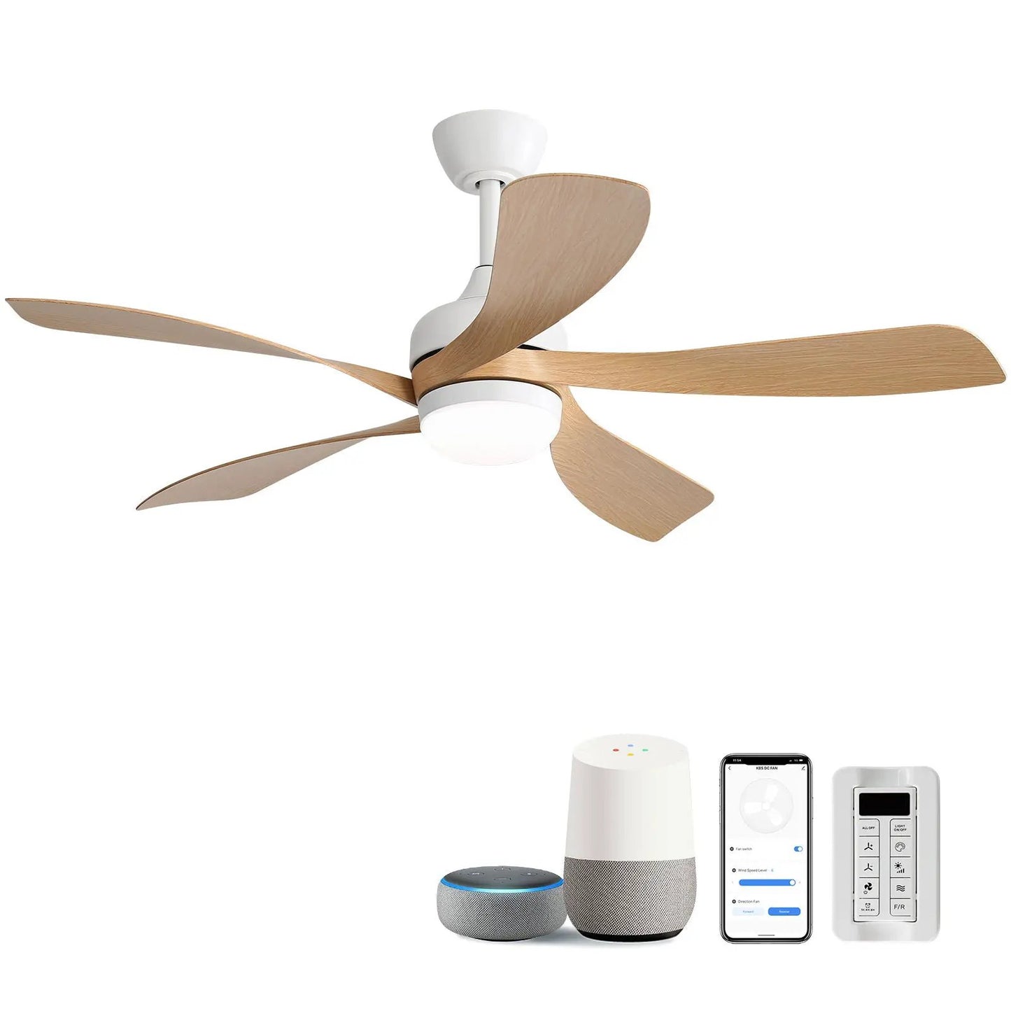 Ceiling fan with DC motor, integrated light; white housing and four natural oak blades on Tampa Home & Garden Store