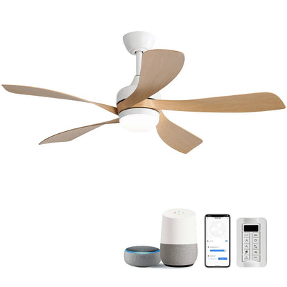 Ceiling fan with DC motor, integrated light; white housing and four natural oak blades on Tampa Home & Garden Store