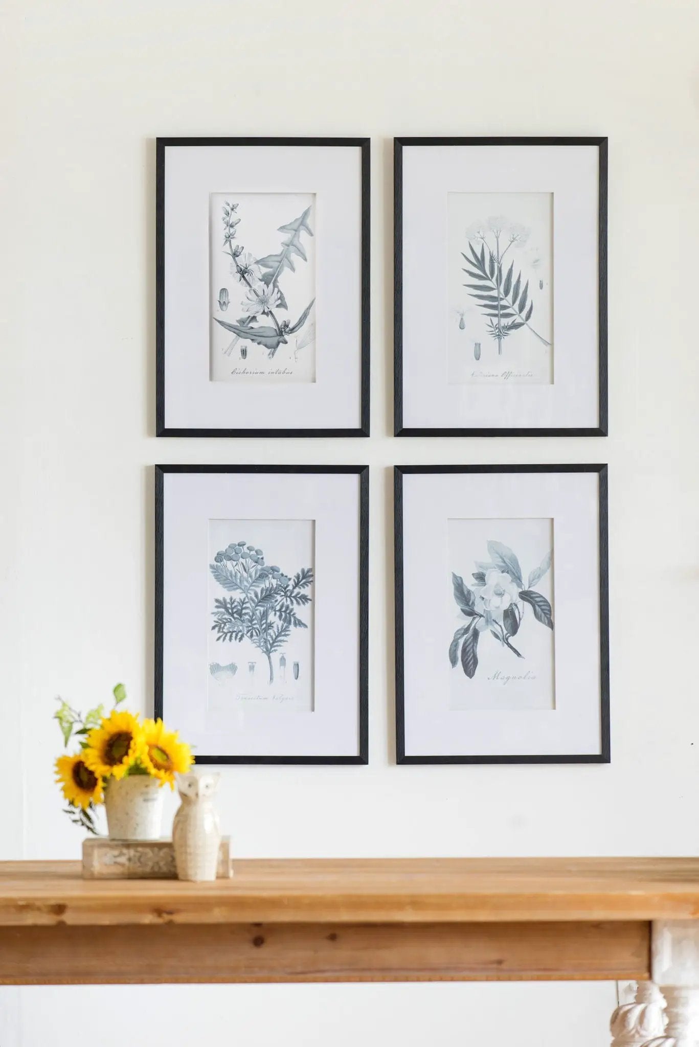 Botanical wall art prints set of 4 in black frames, blue-gray botanical illustrations on Tampa Home & Garden Store