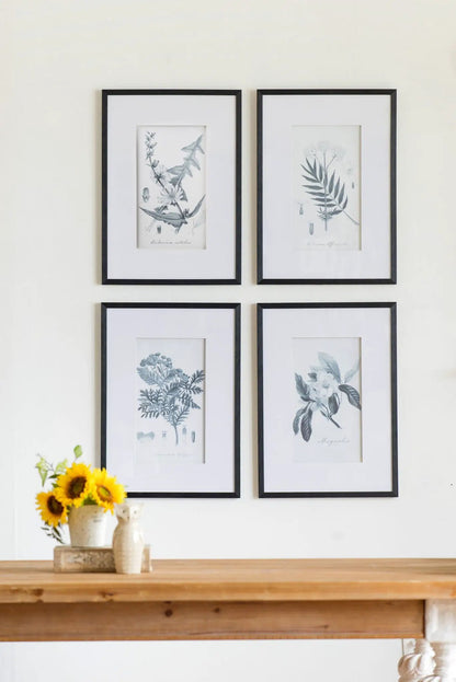 Botanical wall art prints set of 4 in black frames, blue-gray botanical illustrations on Tampa Home & Garden Store