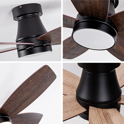 HouseOfZazla 32in low-profile ceiling fan with light, black housing and dark wood blades on Tampa Home & Garden Store
