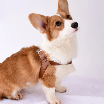 Pet Zen Summer vest chest harness for dogs, brown faux leather with leash attachment on Tampa Home & Garden Store