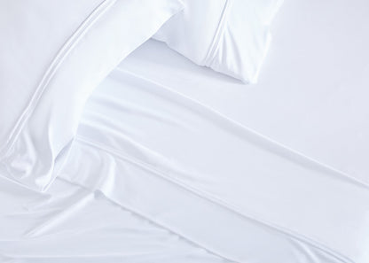 Bedgear Dri-Tec Queen Pillowcase Set And Case